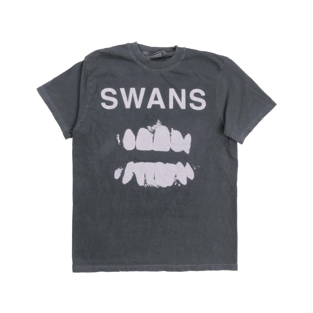 Swans Band Tee Experimental American Rock Group York Michael Gira Heavy Metal Punk Rock Alternative Heavyweight Faded Med (1)