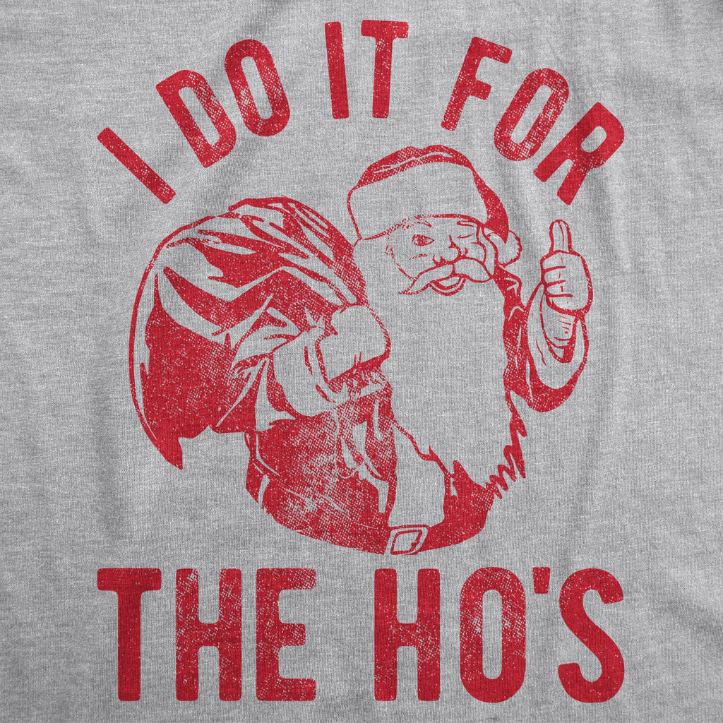 I Do It For The Ho's Women's T Shirt