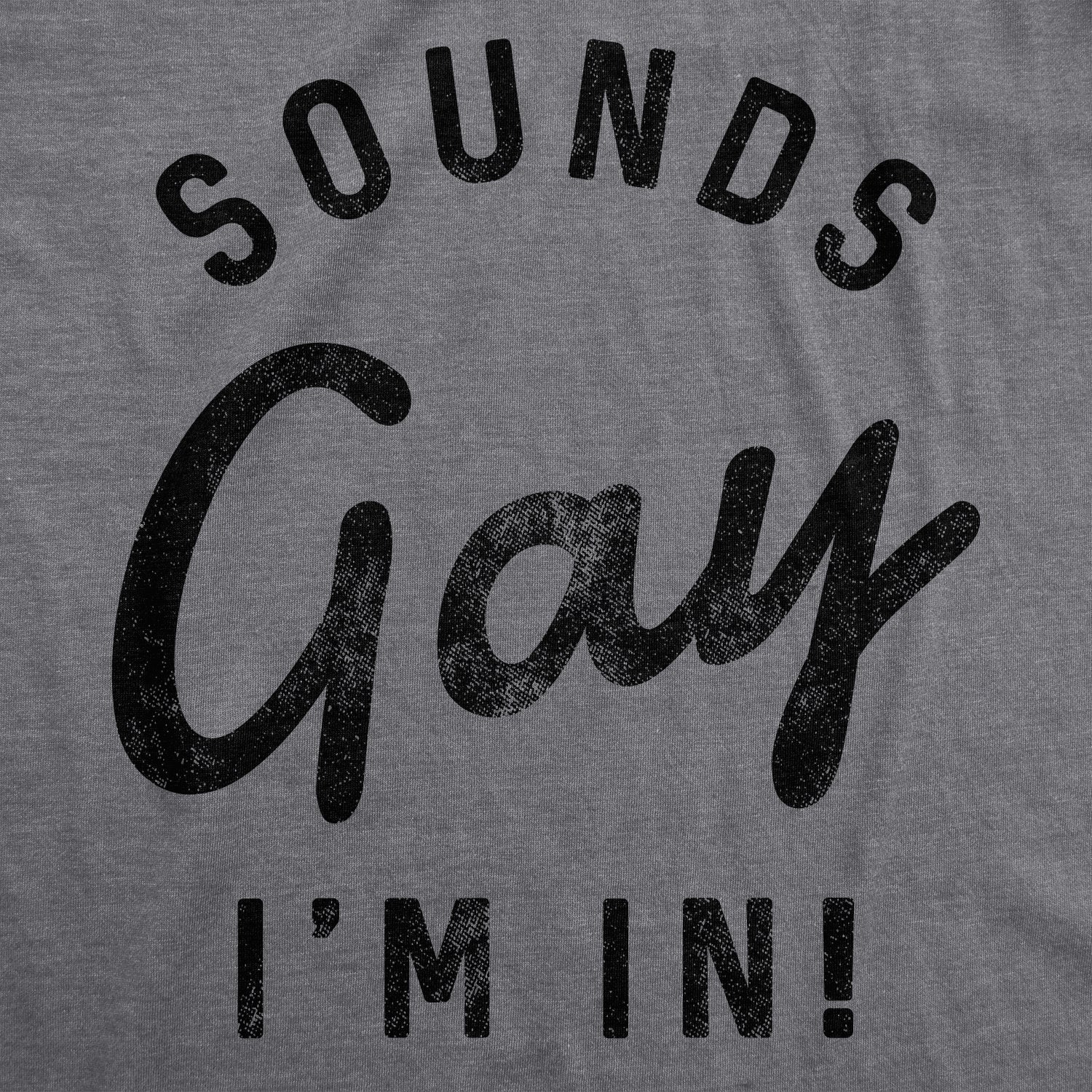 Sounds Gay I'm In Women's T Shirt