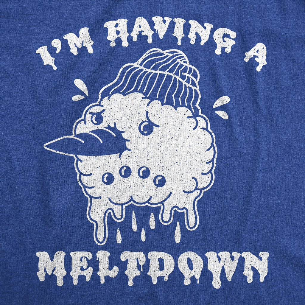 I'm Having A Meltdown Men's T Shirt