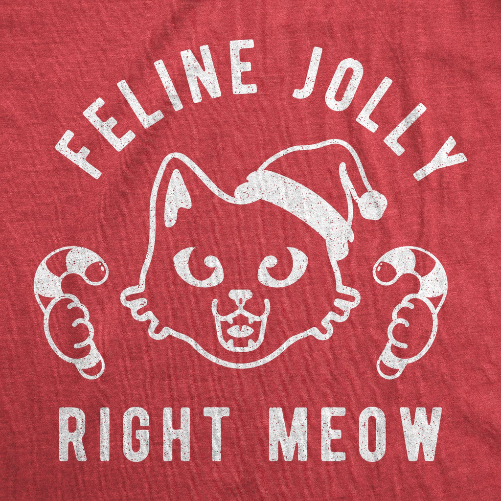 Feline Jolly Right Now Women's T Shirt