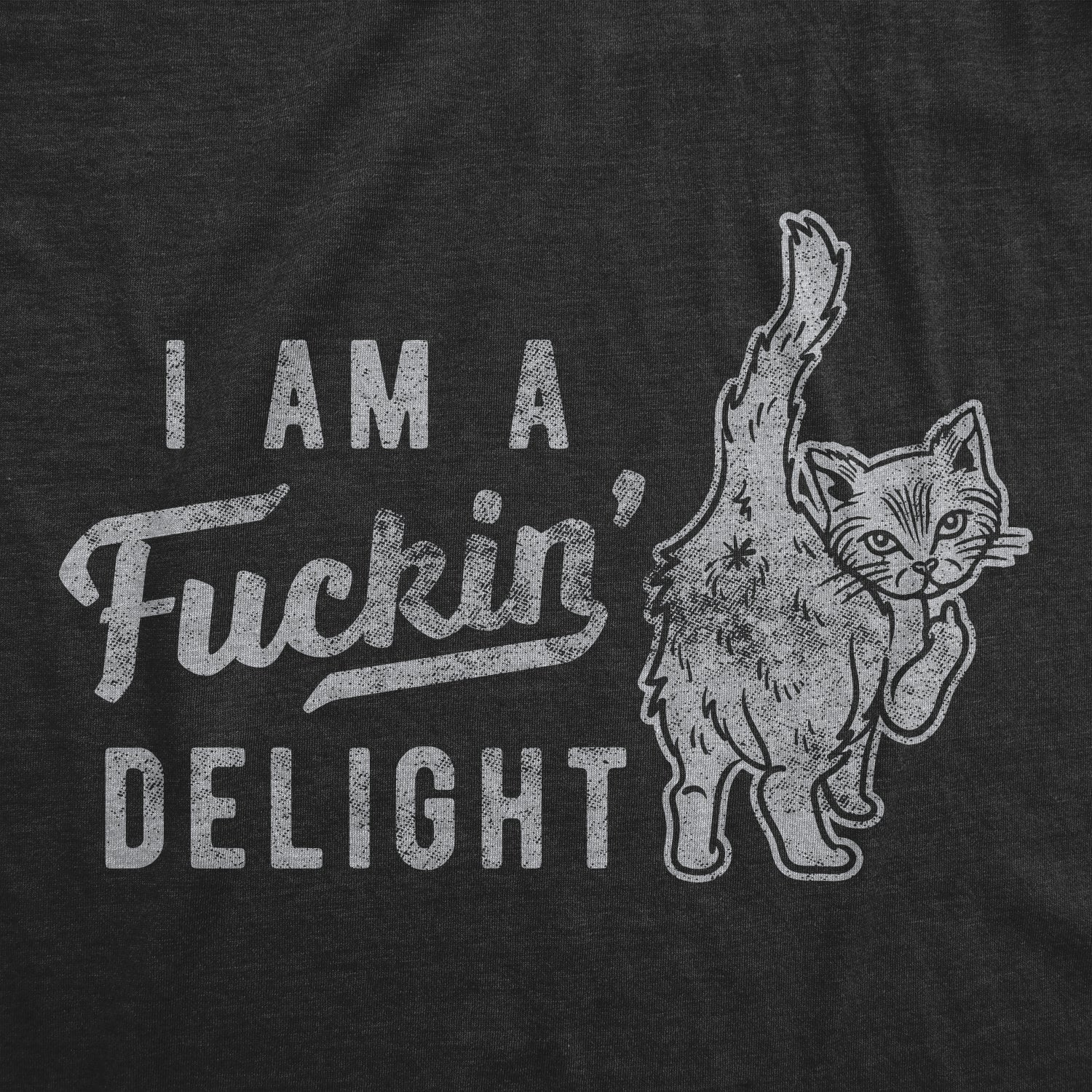 I'm A Fuckin Delight Women's T Shirt