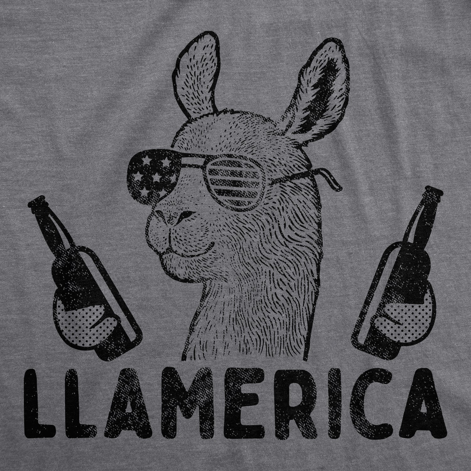 Llamerica Men's T Shirt