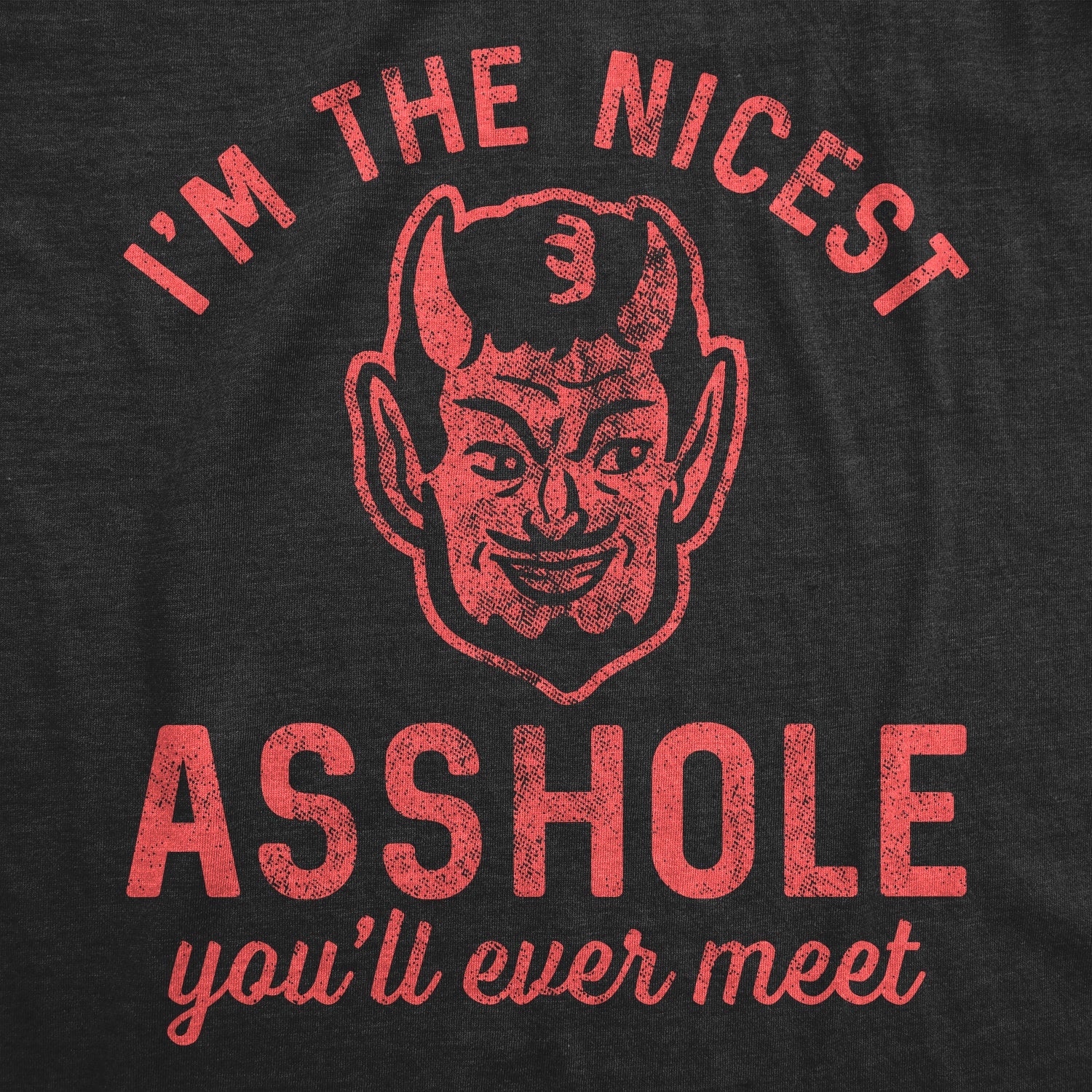 I'm The Nicest Asshole You'll Ever Meet Men's T Shirt