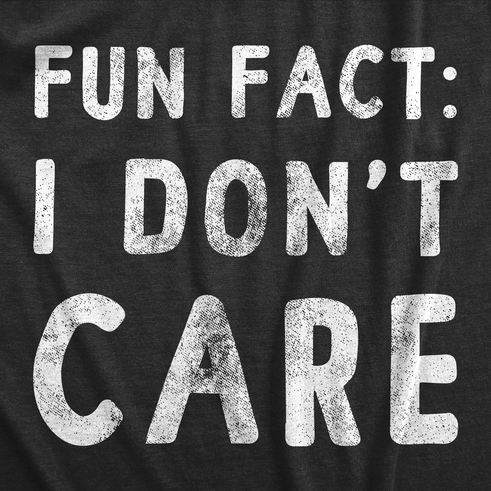 Fun Fact I Don’t Care Men's T Shirt
