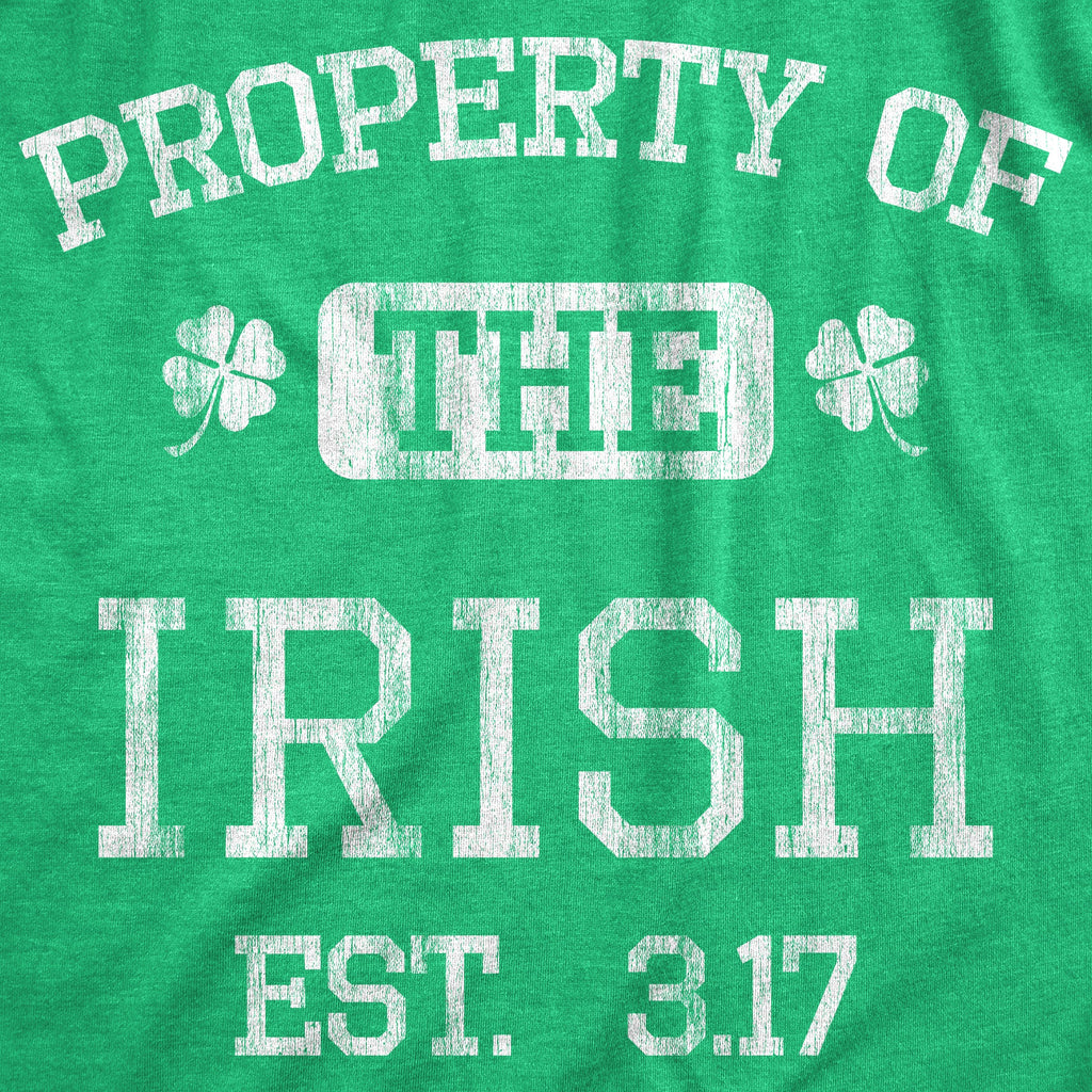Property Of The Irish Men's T Shirt
