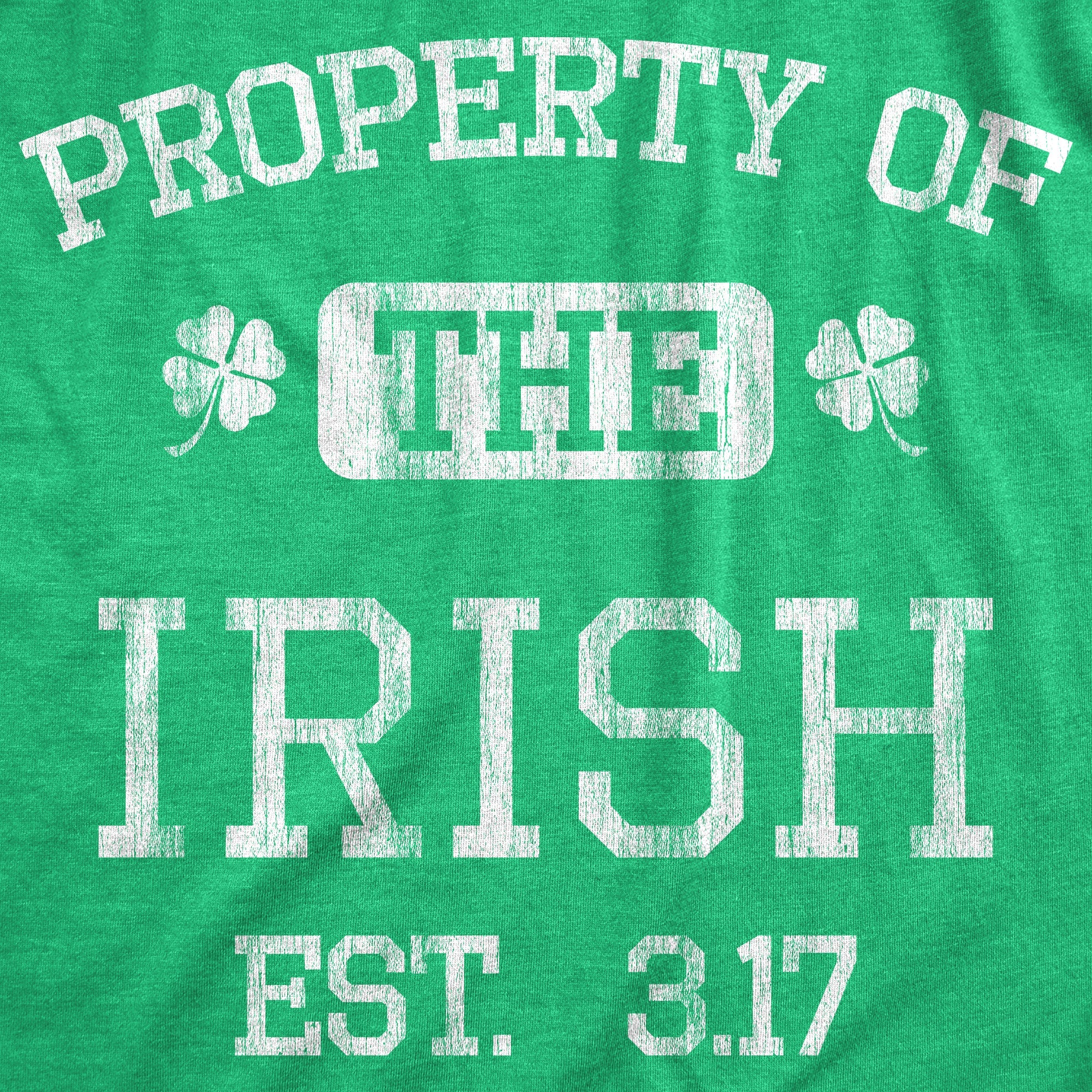 Property Of The Irish Men's T Shirt