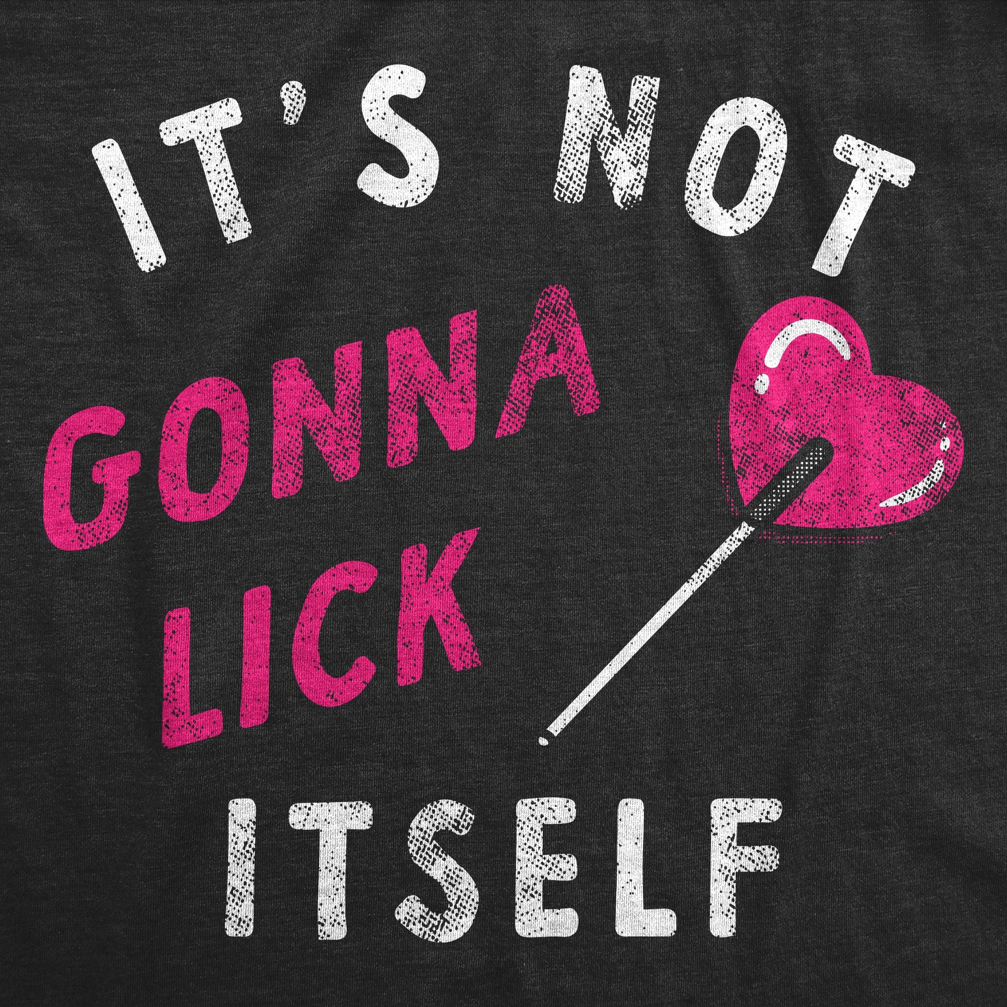 Its Not Gonna Lick Itself Women's T Shirt