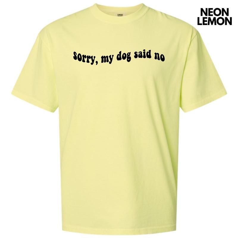 Black My Dog Said No Comfort Colors T-Shirt 'NLB' Hoodie, Sweatshirt | TeeBloomCo.com