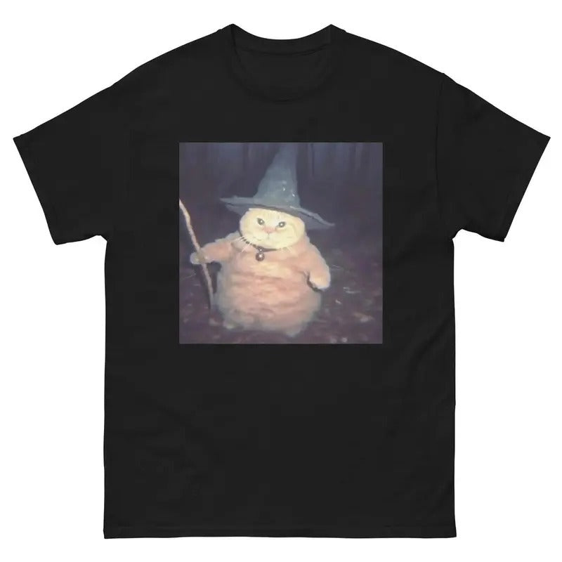 Cheeseball the Wizard Cat T-Shirt, Funny Quote Shirt, Sarcasm Shirt, Trendy Shirt Hoodie, Sweatshirt | TeeBloomCo.com