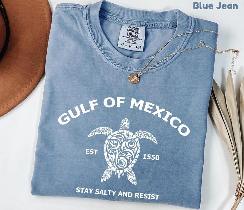 Comfort Colors Gulf of Mexico Stay Salty and Resist Shirt, Gulf Coast Tshirt, Mexico Beach Shirt, Mexico Resist tee,...