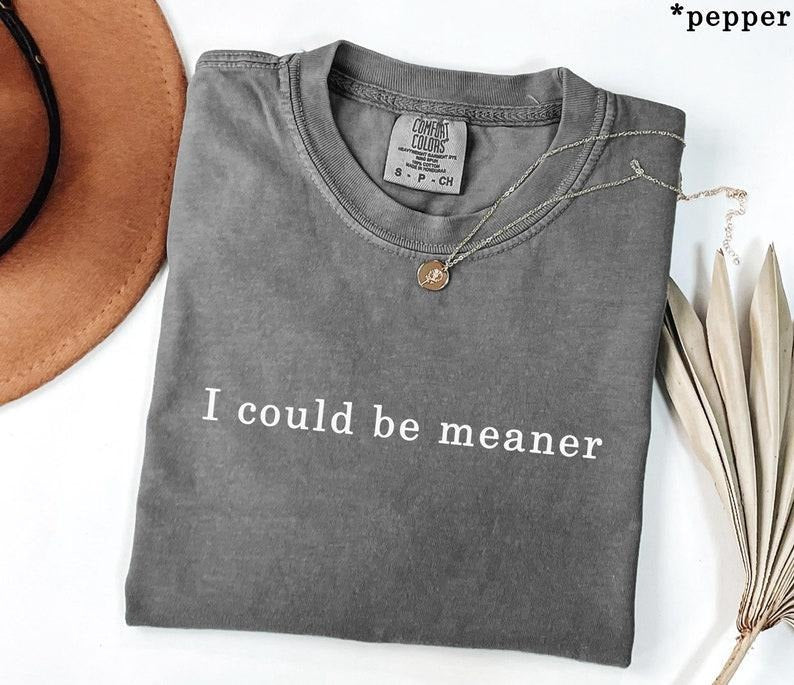 Comfort Colors I Could Be Meaner Shirt, Funny Humor Shirt, Sarcastic Shirt, Funny Quote Shirt, Sarcasm Shirt, Trendy...