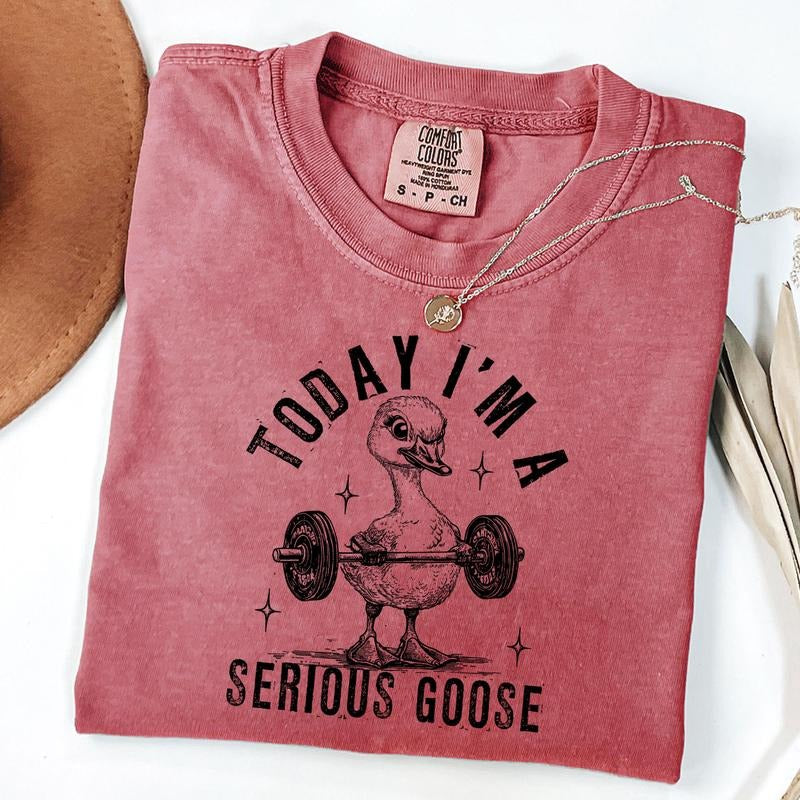 Comfort Colors Today I'm A Serious Goose Shirt, Snarky Sarcastic Goose Shirt, Retro Silly Goose Shirt, Unisex T-Shirt...