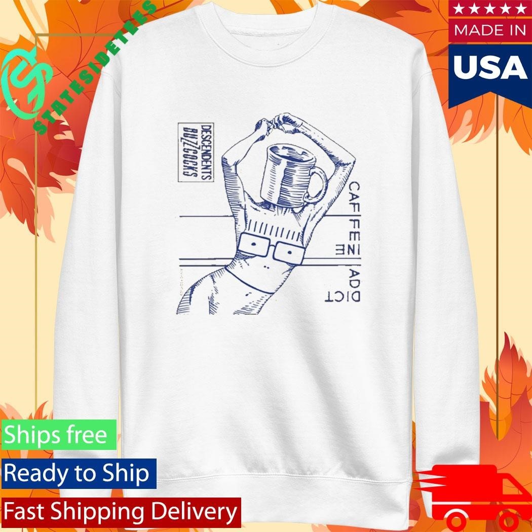 Descendents Buzzcocks 2025 Canadian Tour Shirt