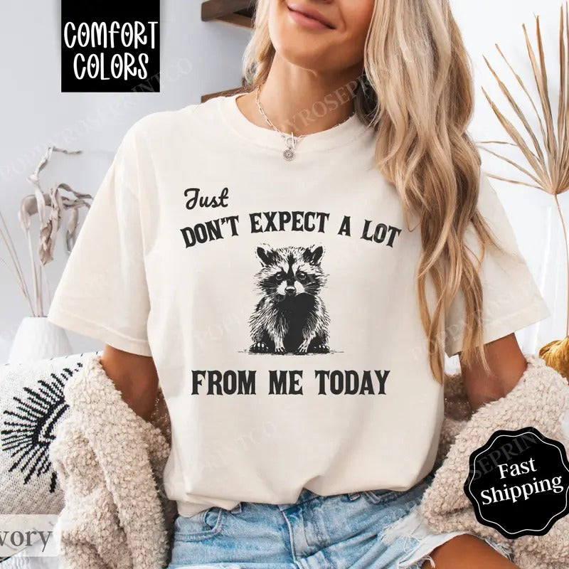 Don't Expect A lot Today Shirt Comfort Colors, Retro Funny TShirts, Women's Oversized Graphic Tee Hoodie, Sweatshirt