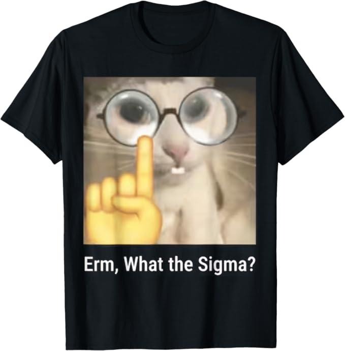 Funny Cat Shirts, Erm, What the Sigma Cat Meme Funny T-Shirt - Menswear Top Hoodie, Sweatshirt | TeeBloomCo.com
