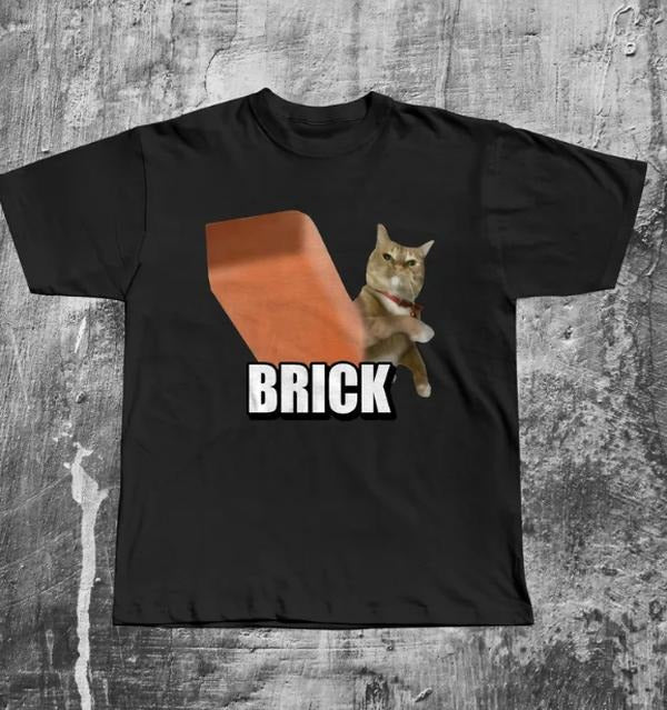 Funny Cat Throwing Brick T-shirt, Silly Cats Tee, Unhinged Clothes, Brainrot Shirts, Cat Lover Gifts, Weird Tshirt...