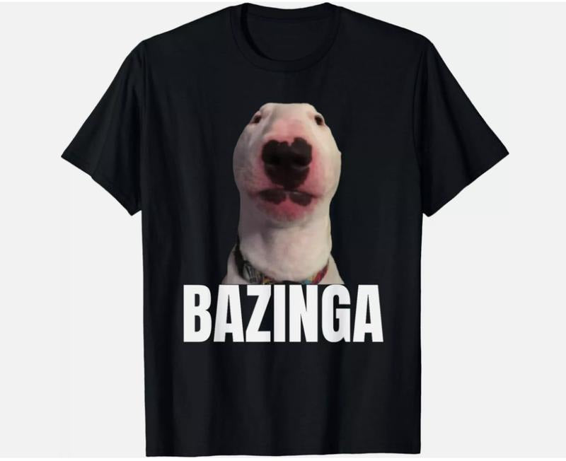 Funny Meme Dog GenZ Teenager Slang Gift Unisex T-Shirt  Top Womenswear Tshirt Streetwear Hoodie, Sweatshirt | TeeBloomCo.com