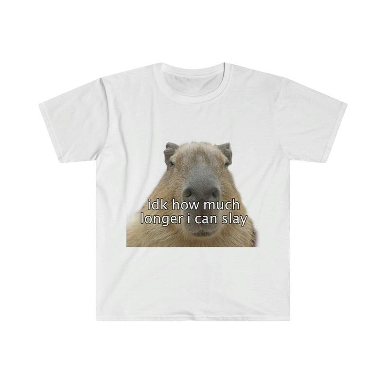 Funny Meme Shirt, Capybara "idk how much longer i can slay" Tee, Gift Unisex T-Shirt Hoodie, Sweatshirt | TeeBloomCo.com