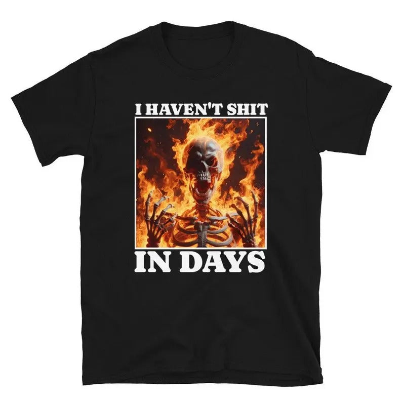 Funny Meme Shirt, I Haven't Shit in Days Tee, Gift Unisex T-Shirt Hoodie, Sweatshirt | TeeBloomCo.com
