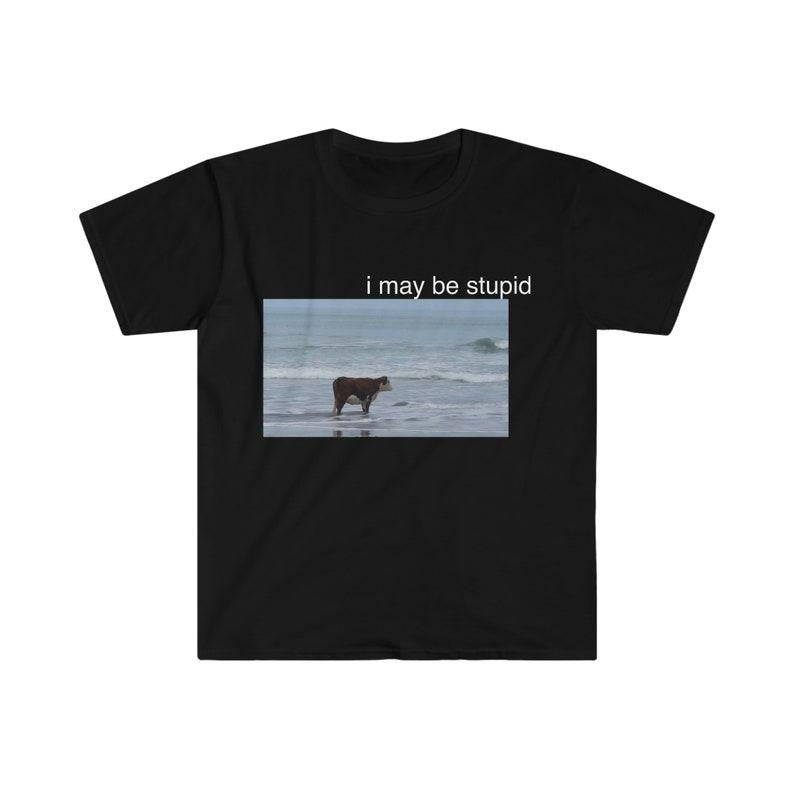 Funny Meme Shirt, I May Be Stupid Cow on Beach Tee, Gift Unisex T-Shirt Hoodie, Sweatshirt | TeeBloomCo.com