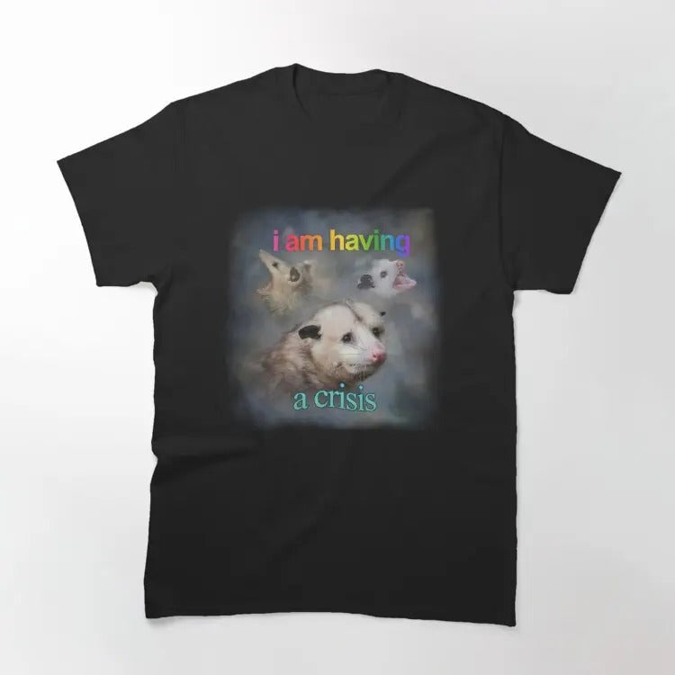 Funny Meme Shirt, I am having a crisis possum word art Classic T-Shirt Casual Fabric Hoodie, Sweatshirt | TeeBloomCo.com