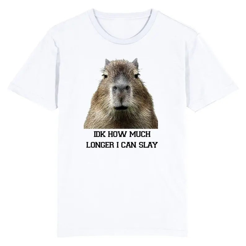 Funny Meme Shirt, IDK How Much Longer I Can Slay Capybara Tee, Gift Unisex T-Shirt Hoodie, Sweatshirt | TeeBloomCo.com