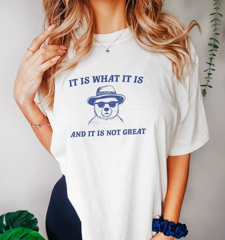 Funny Meme Shirt, It Is What It Is And It Is Not Great Tee, Raccoon Gift Unisex T-Shirt Hoodie, Sweatshirt | TeeBloomCo.com
