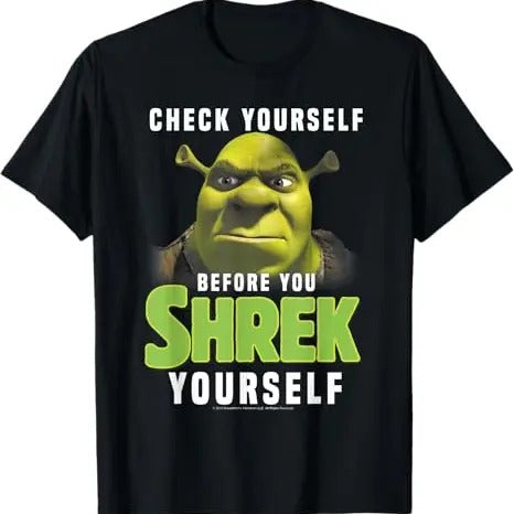 Funny Meme Shirt, Shrek Check Yourself Before You Shrek Yourself Tee, Gift Unisex T-Shirt Hoodie, Sweatshirt | TeeBloomCo.com
