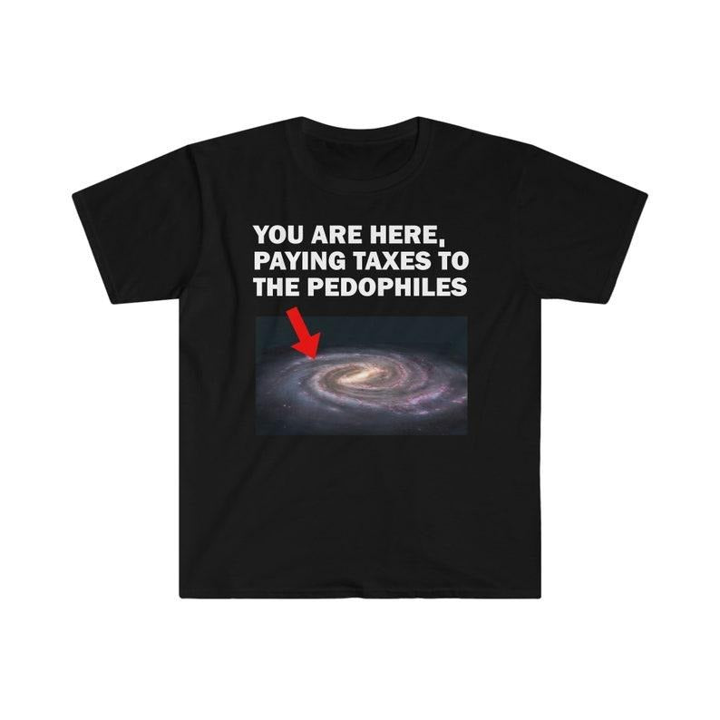 Funny Meme Shirt, Taxes Tee, Gift Unisex T-Shirt Hoodie, Sweatshirt | TeeBloomCo.com