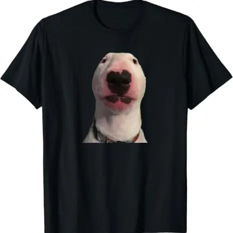 Funny Meme Shirt, Walter dog Tee, Gift Unisex T-Shirt Hoodie, Sweatshirt | TeeBloomCo.com