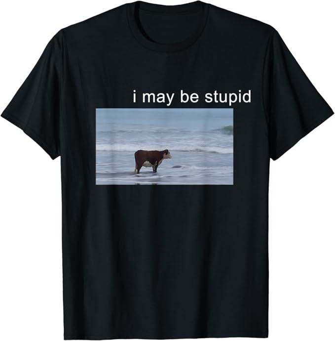 Funny Meme Shirts For Men, I May Be Stupid Funny T-Shirt Menswear Top Hoodie, Sweatshirt | TeeBloomCo.com