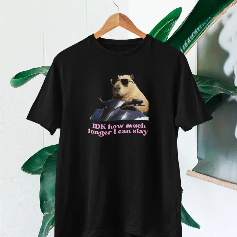 IDK How much longer I can slay T-shirt | Slay T-shirt | Funny top | TikTok fans Hoodie, Sweatshirt | TeeBloomCo.com