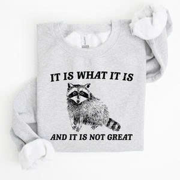 It Is What It Is And It Is Not Great, Raccoon, Funny, Aesthetic Sweatshirt T-Shirts, Hoodie | TeeBloomCo.com