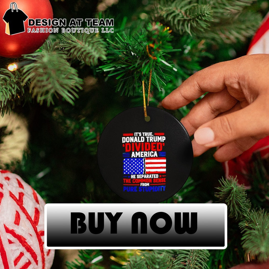 It’s true Donald Trump divided America he separated the common sense from pure stupidity shirt