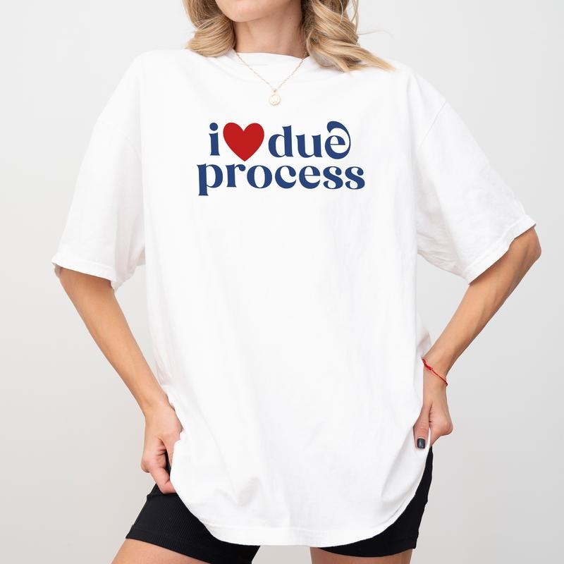 MAPTEES I Love Due Process Comfort Colors Shirt, Pro Immigration T-shirt, Human Right Graphic Tee, Subtle FDT Clothing,...