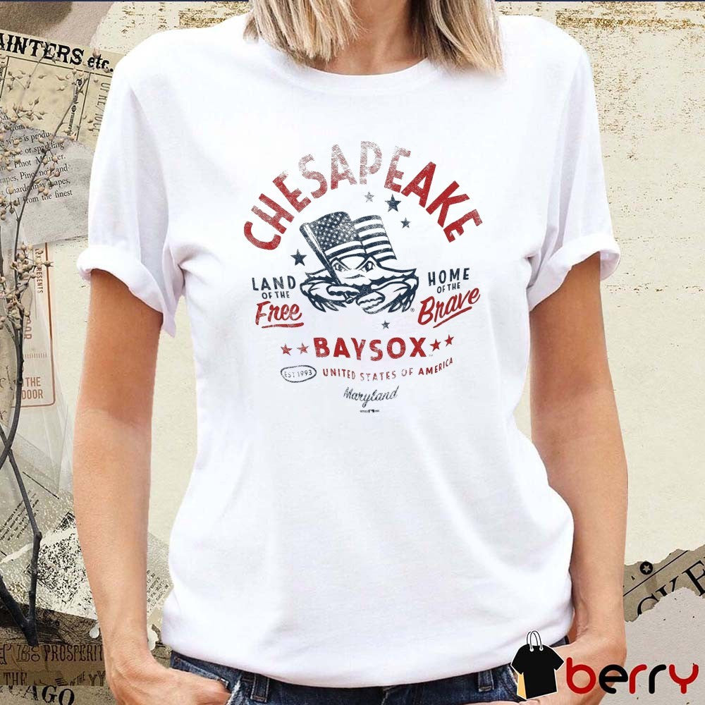 Chesapeake Baysox United States Of America Land Of Free Home Of The Brave Maryland t-shirt
