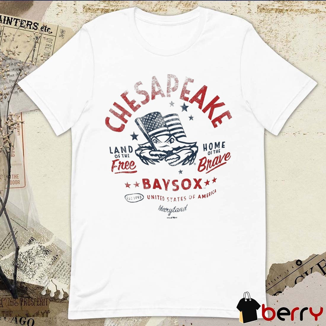 Chesapeake Baysox United States Of America Land Of Free Home Of The Brave Maryland t-shirt