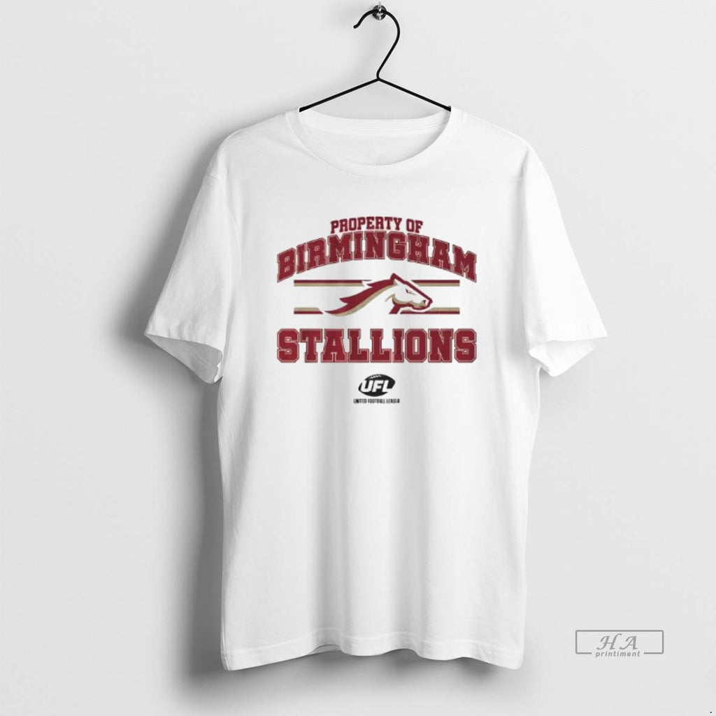 Official Property Of Birmingham Stallions T-Shirts, Hoodie, Sweatshirt | TeeBloomCo.com