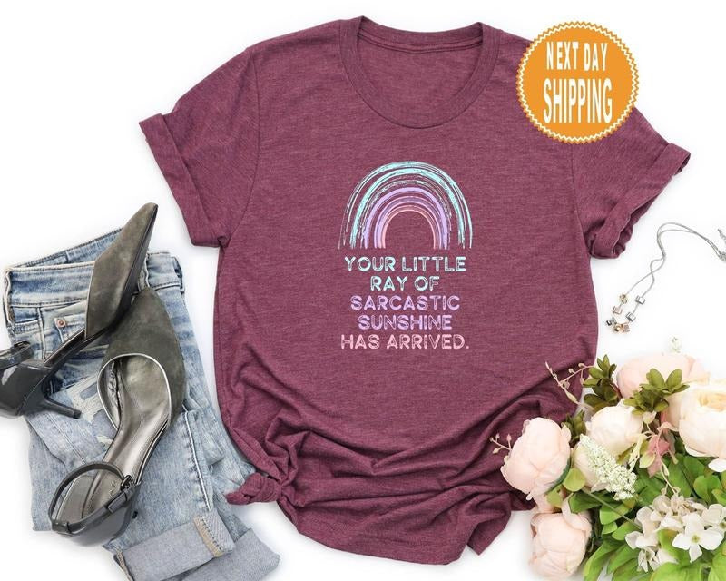 Sarcastic Sarcasm Shirt Sarcastic Sweatshirt Your Little Ray Of Sarcastic Shirt Womens Clothing Mens Clothing Gift For...
