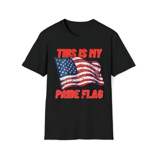 This Is My Pride Flag T-shirt USA US United States of America American made in usa Hoodie, Sweatshirt | TeeBloomCo.com