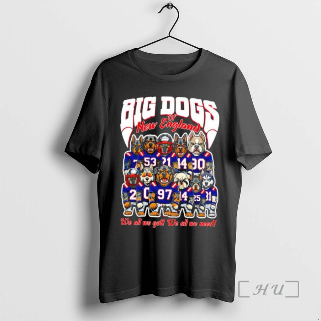 Trending Big Dogs Of New England We All We Got We All We Need Premium T-Shirts, Hoodie, Sweatshirt | TeeBloomCo.com