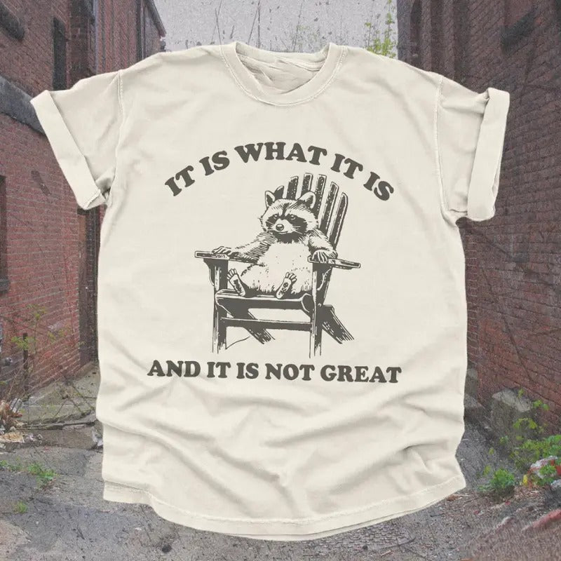 Vintage 90s Funny Racoon TShirt  Retro Y2K Humor Meme Shirt, Trendy Cute Boho Trashcore Tee, Raccoon Gifts, Trashy...