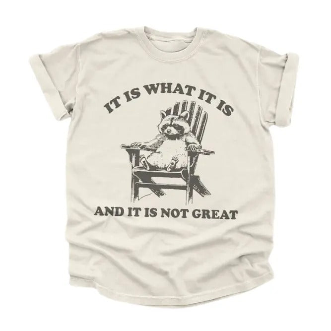 Vintage 90s Funny Racoon TShirt, Retro Oversized Y2K Humor Meme Shirt, Trendy Cute Boho Trashcore Tee, Raccoon Gifts,...