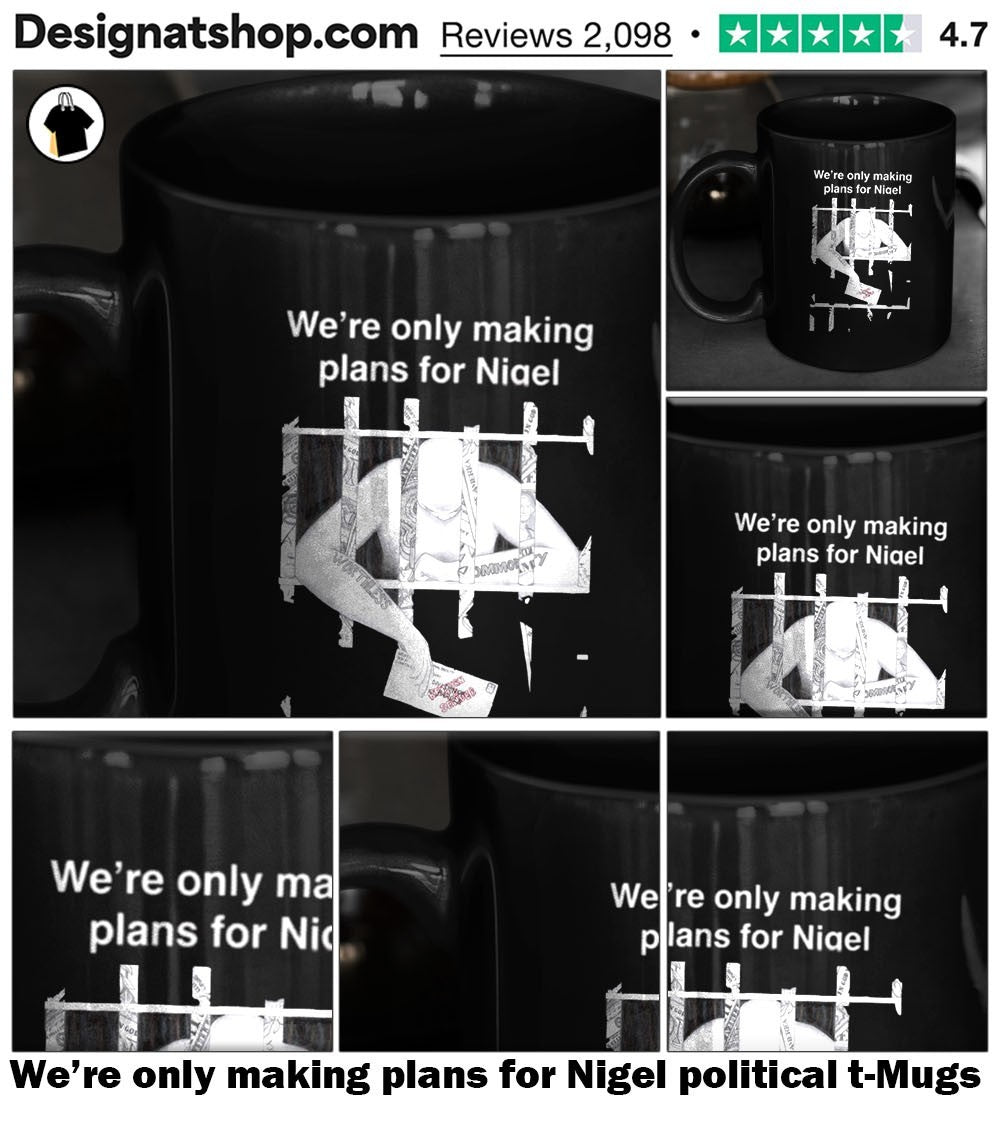 We’re only making plans for Nigel political t-shirt