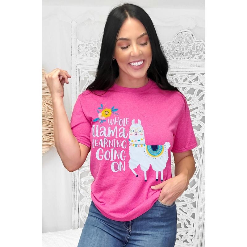 Whole Llama Learning Teacher T-Shirt Hoodie, Sweatshirt | TeeBloomCo.com