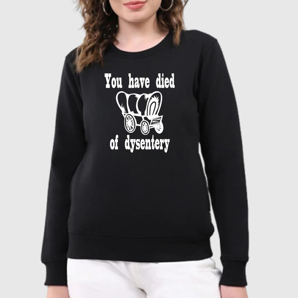 You Have Died Of Dysentery Shirt