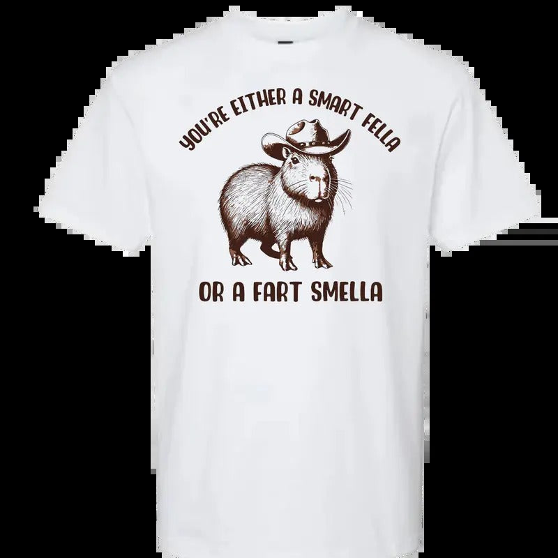 You're Either a Smart Fella or Fart Smella My T-Shirt Hoodie, Sweatshirt | TeeBloomCo.com