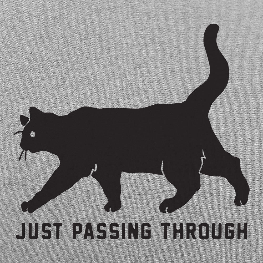 Black Cat Crossing