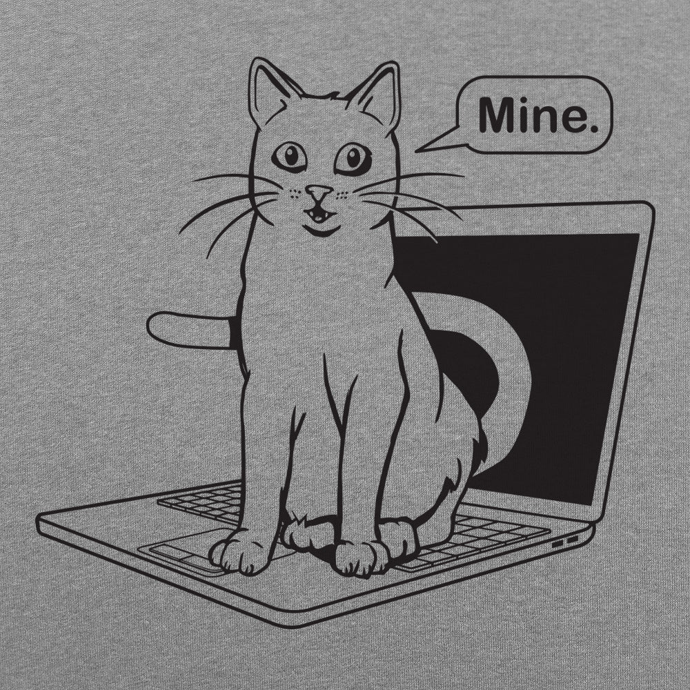 Cat Conquers Laptop